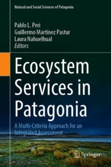 Ecosystem Services in Patagonia : A Multi-Criteria Approach for an Integrated Assessment