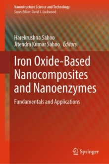 Iron Oxide-Based Nanocomposites and Nanoenzymes : Fundamentals and Applications
