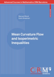 Mean Curvature Flow and Isoperimetric Inequalities