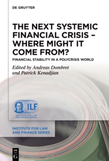 The Next Systemic Financial Crisis - Where Might it Come From? : Financial Stability in a Polycrisis World