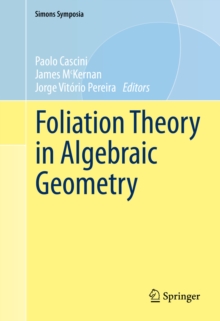 Foliation Theory in Algebraic Geometry