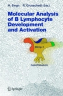 Molecular Analysis of B Lymphocyte Development and Activation