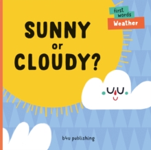 Sunny or Cloudy?