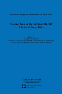 Natural Gas in the Internal Market : A Review of Energy Policy