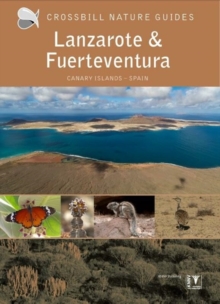 Lanzarote and Fuerteventura : Spain