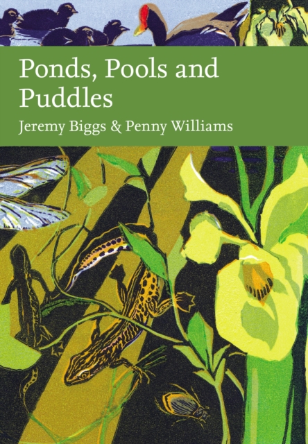 Ponds, Pools and Puddles, Hardback Book
