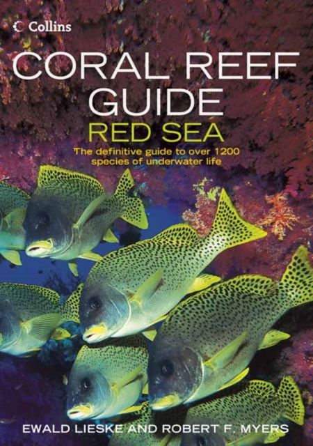 Coral Reef Guide Red Sea, Paperback / softback Book