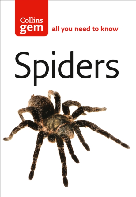 Spiders, Paperback / softback Book
