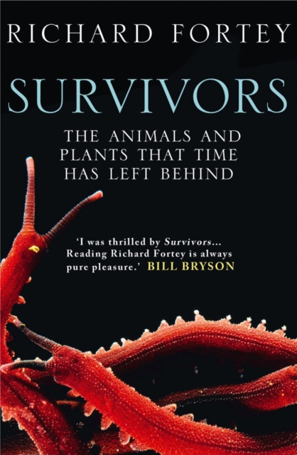 Survivors : The Animals and Plants That Time Has Left Behind, Paperback / softback Book