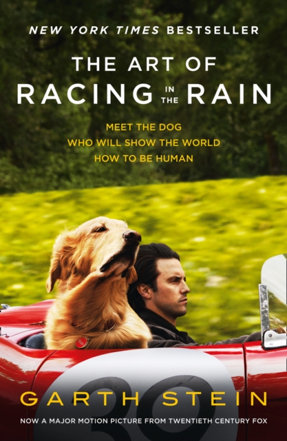 The Art of Racing in the Rain, EPUB eBook