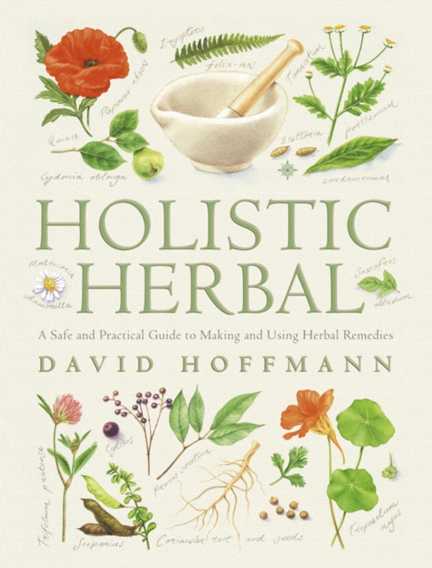 Holistic Herbal : A Safe and Practical Guide to Making and Using Herbal Remedies, EPUB eBook