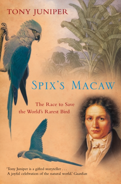 Spix's Macaw : The Race to Save the World's Rarest Bird (Text Only), EPUB eBook