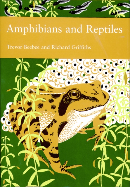 Amphibians and Reptiles, EPUB eBook