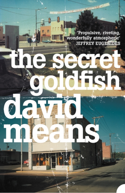 The Secret Goldfish, EPUB eBook