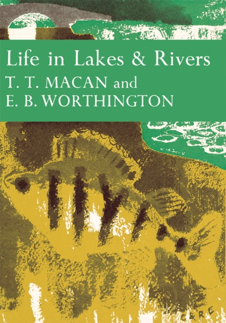 Life in Lakes and Rivers, EPUB eBook