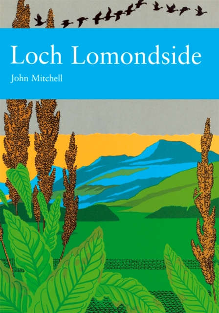 Loch Lomondside, EPUB eBook