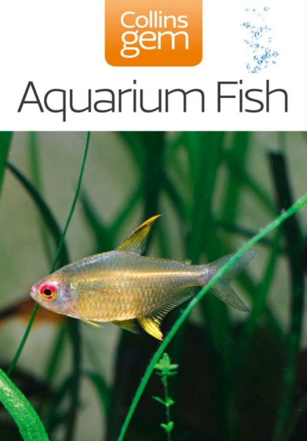 Aquarium Fish, EPUB eBook