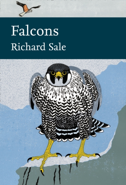 Falcons, EPUB eBook