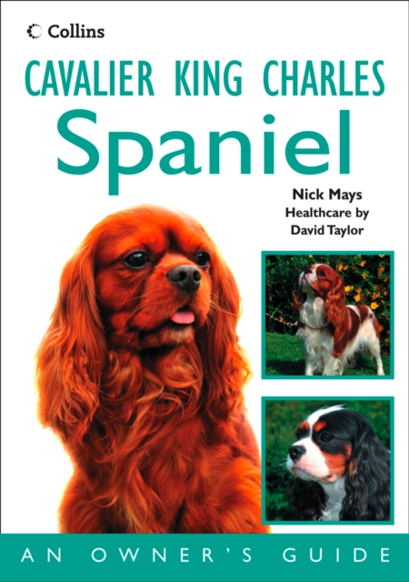 Cavalier King Charles Spaniel : An Owner's Guide, EPUB eBook