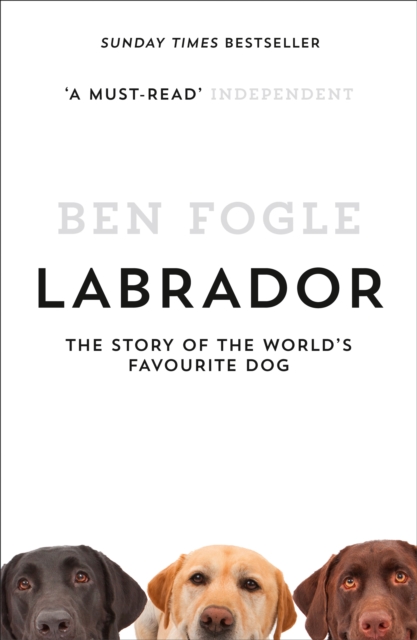 Labrador : The Story of the World’s Favourite Dog, Paperback / softback Book