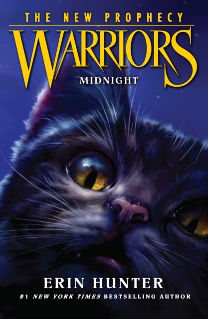 MIDNIGHT, EPUB eBook