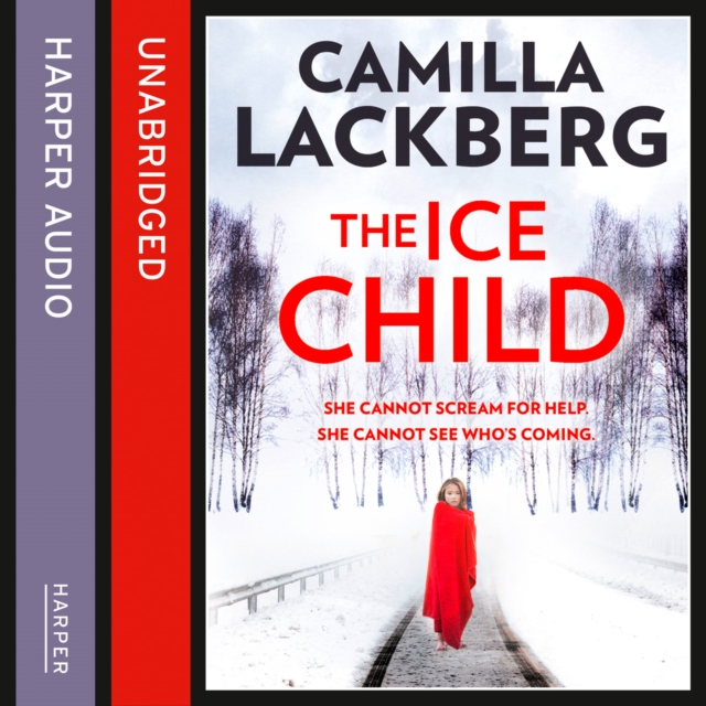 The Ice Child (Patrik Hedstrom and Erica Falck, Book 9), eAudiobook MP3 eaudioBook