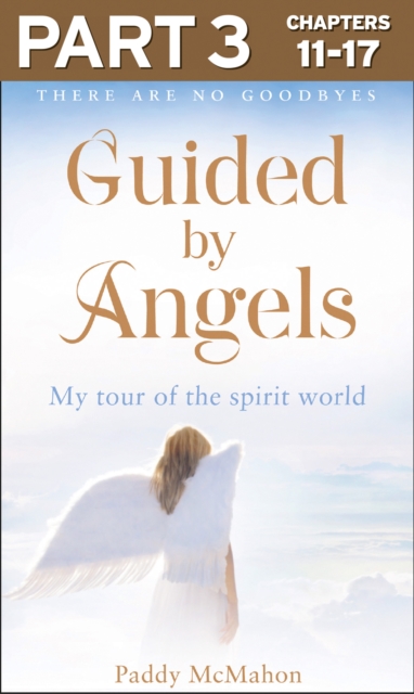 Guided By Angels: Part 3 of 3 : There Are No Goodbyes, My Tour of the Spirit World, EPUB eBook