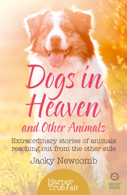 Dogs in Heaven: and Other Animals : Extraordinary Stories of Animals Reaching out from the Other Side, EPUB eBook