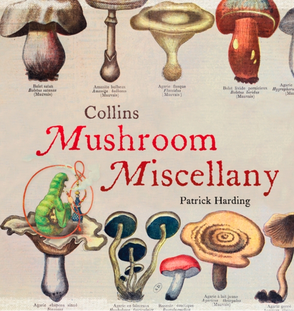 Collins Mushroom Miscellany, EPUB eBook