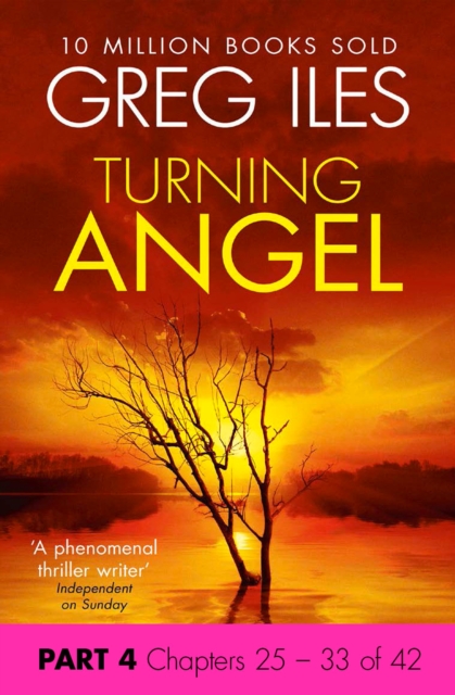 Turning Angel: Part 4, Chapters 25 to 33, EPUB eBook