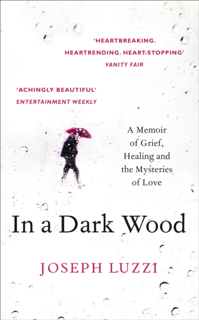In a Dark Wood : What Dante Taught Me About Grief, Healing, and the Mysteries of Love, EPUB eBook