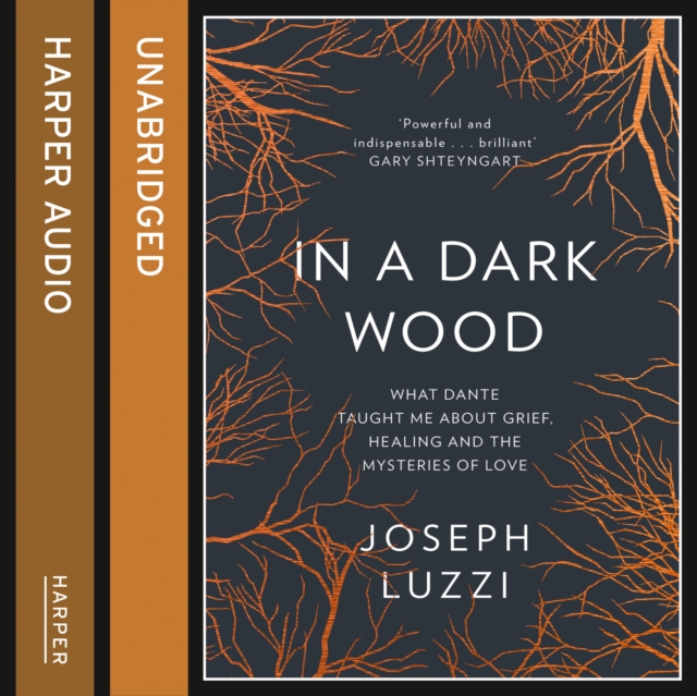 In a Dark Wood : What Dante Taught Me About Grief, Healing, and the Mysteries of Love, eAudiobook MP3 eaudioBook