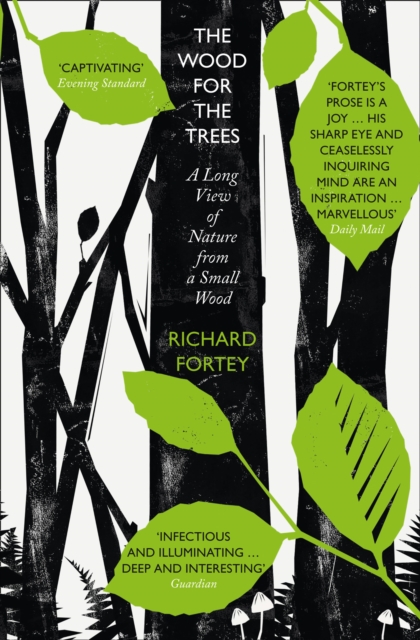The Wood for the Trees : The Long View of Nature from a Small Wood, EPUB eBook