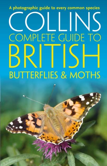 British Butterflies and Moths, Paperback / softback Book