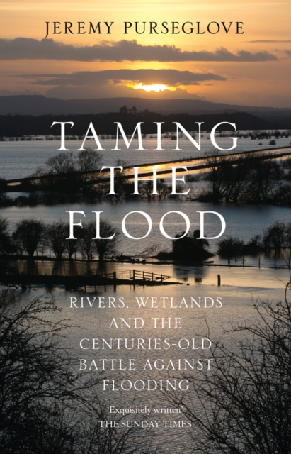 Taming the Flood : Rivers, Wetlands and the Centuries-Old Battle Against Flooding, EPUB eBook