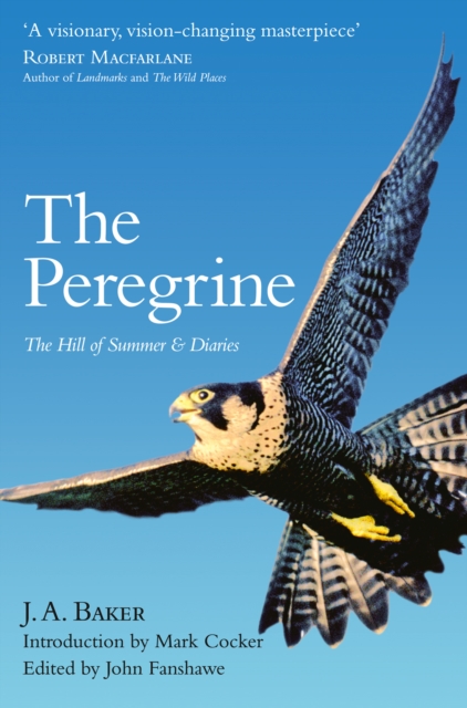 The Peregrine : The Hill of Summer & Diaries: the Complete Works of J. A. Baker, Paperback / softback Book