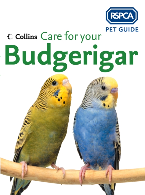 Care for your Budgerigar, EPUB eBook
