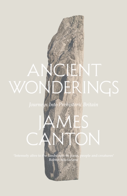 Ancient Wonderings : Journeys into Prehistoric Britain, EPUB eBook