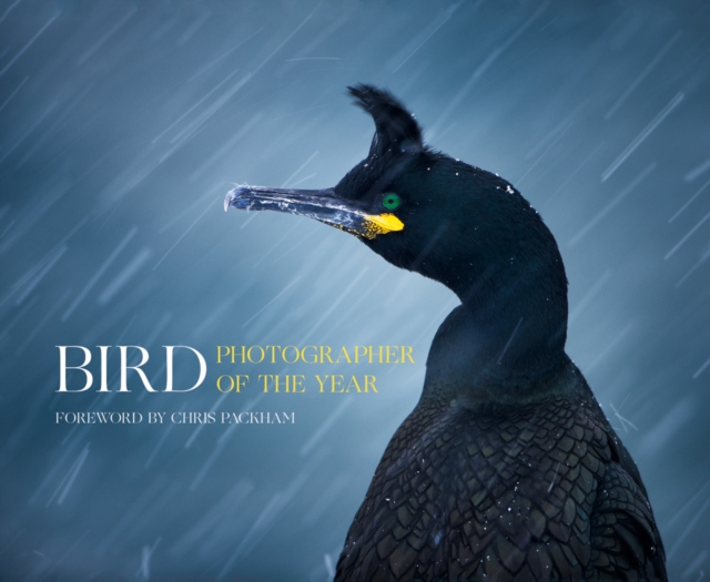 Bird Photographer of the Year, Hardback Book