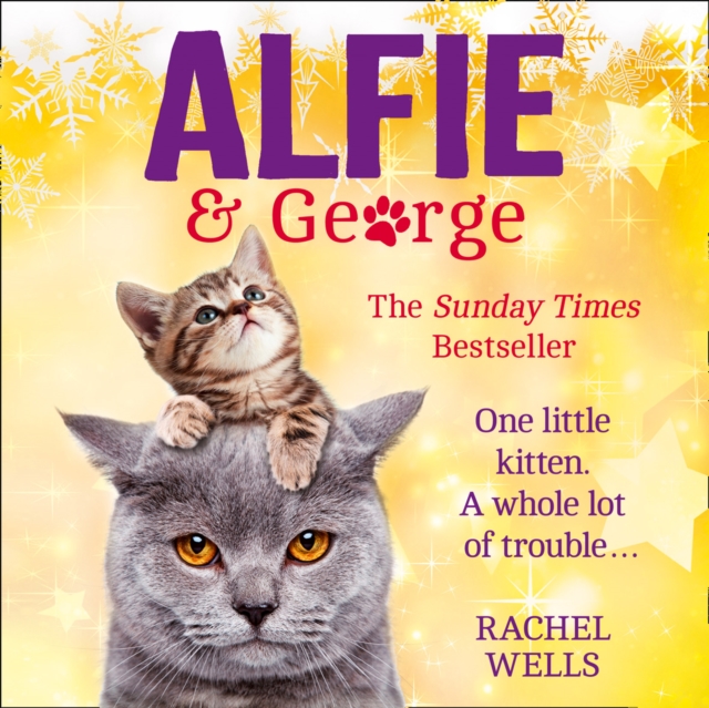 Alfie and George, eAudiobook MP3 eaudioBook