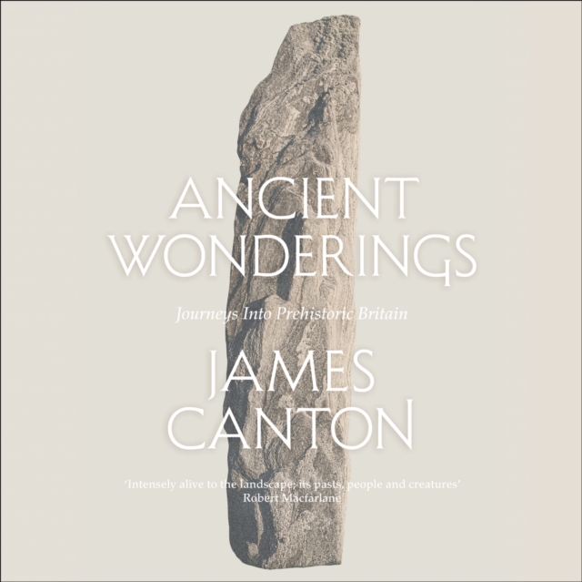 Ancient Wonderings : Journeys into Prehistoric Britain, eAudiobook MP3 eaudioBook