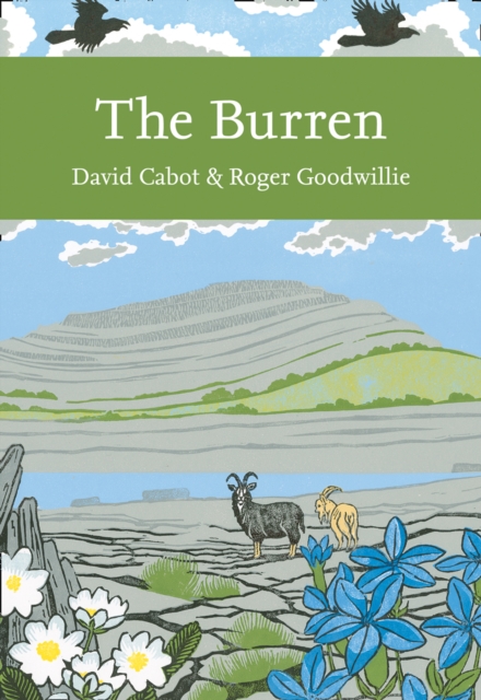 The Burren, Paperback / softback Book