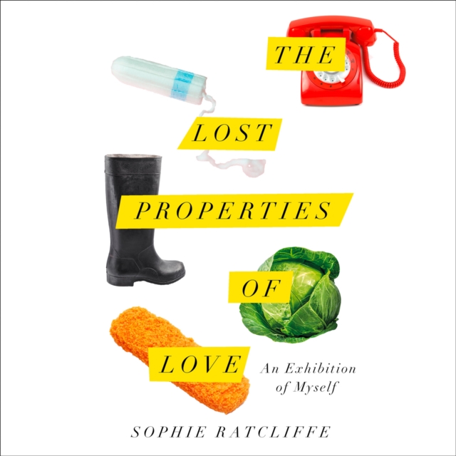The Lost Properties Of Love, eAudiobook MP3 eaudioBook