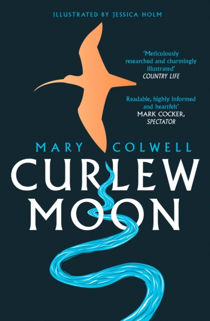 Curlew Moon, Paperback / softback Book