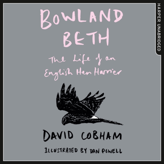 Bowland Beth : The Life of an English Hen Harrier, eAudiobook MP3 eaudioBook