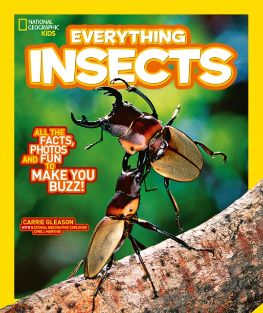 Everything: Insects, Paperback / softback Book