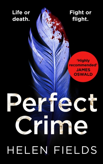 A Perfect Crime, EPUB eBook