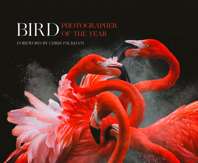 Bird Photographer of the Year : Collection 3, Hardback Book