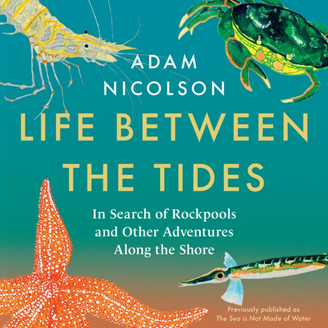 Life Between the Tides : In Search of Rockpools and Other Adventures Along the Shore, eAudiobook MP3 eaudioBook
