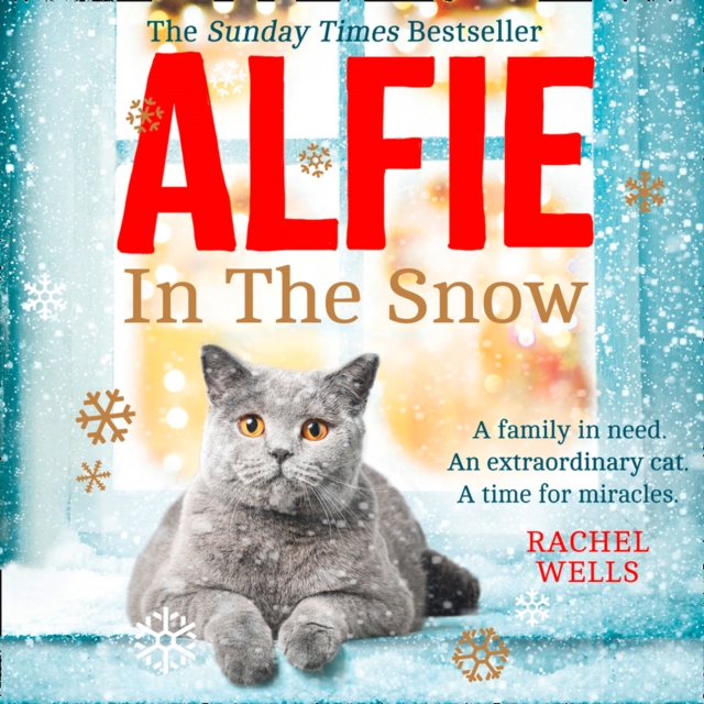 Alfie in the Snow, eAudiobook MP3 eaudioBook
